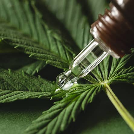 cannabis leaf with dropper